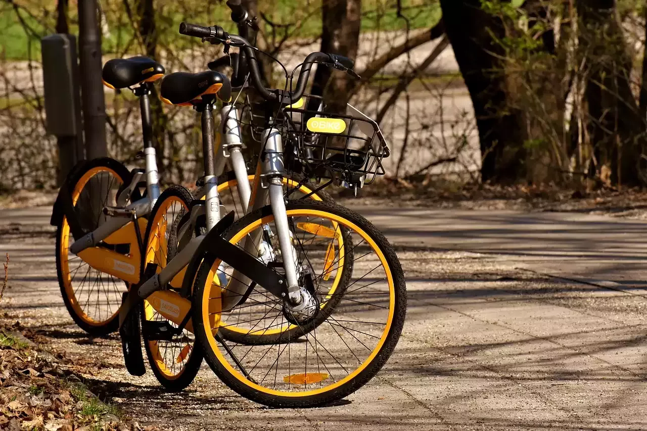 Evite ladrões de bicicleta: estratégias especializadas para proteger sua bicicleta na cidade