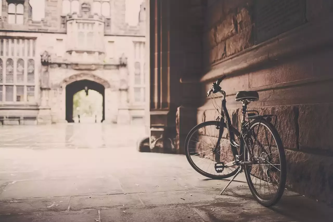 Pedalando para frente: como a defesa e a infraestrutura estão moldando o futuro do ciclismo urbano